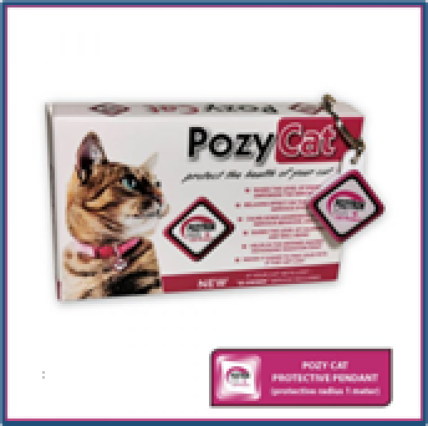 Pozy Cat